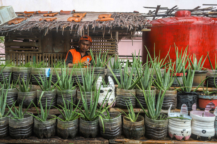 Potret Kebun Urban Farming di Tengah Kota Jakarta | Dr. Borat