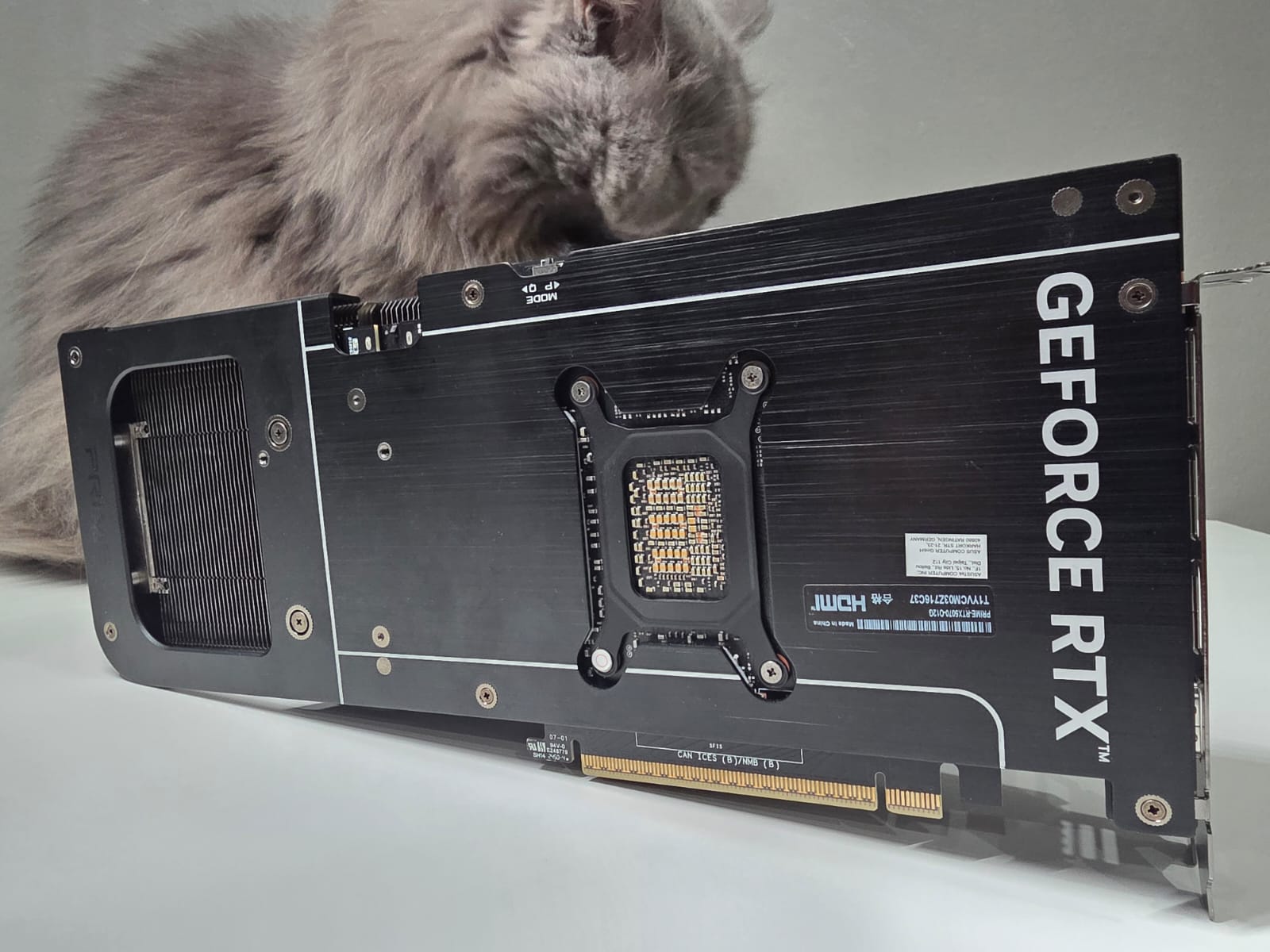 ​Asus Prime GeForce RTX 5070 OC Edition, Gaming Kelas Berat Pakai GDDR7 | Dr. Borat
