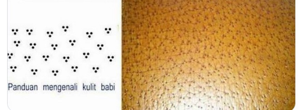 Kenali Ciri Sepatu Kulit Babi Sebelum Checkout! | Dr. Borat