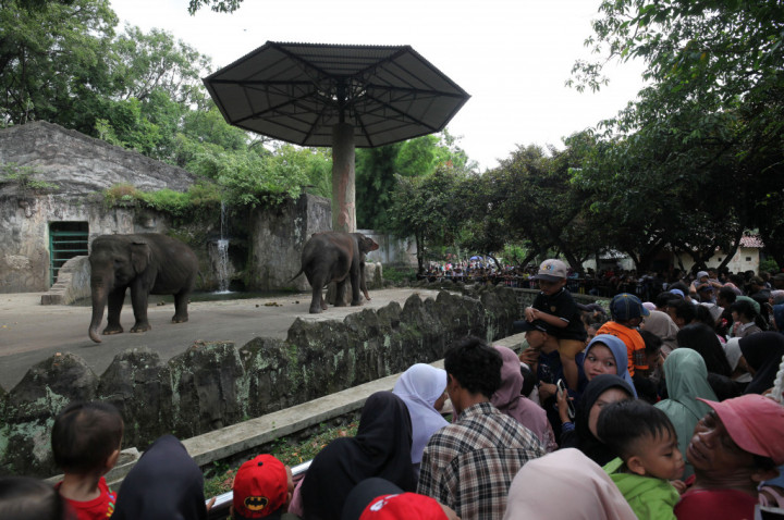 Daftar Destinasi Wisata Jakarta Gratis Hari Ini, Apa Saja? | Dr. Borat