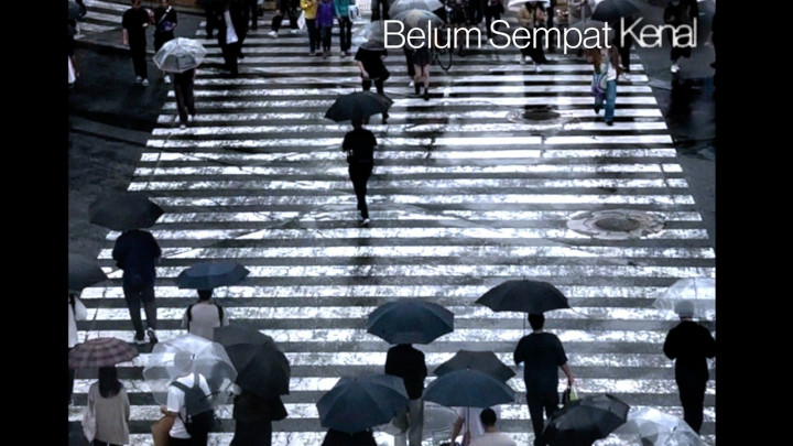 Makna dan Lirik Lagu Belum Sempat Kenal | Dr. Borat