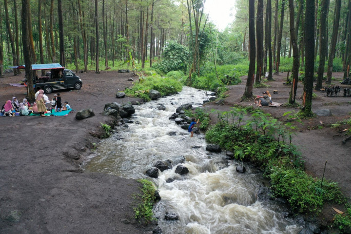 ​Sering Burnout? Healing Forest Terbukti Ilmiah Ampuh Atasi Stres | Dr. Borat